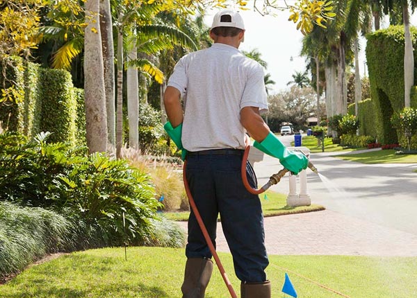 About Hawaii National Park HI Pest Control